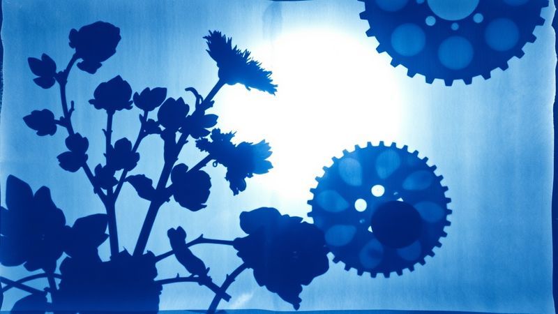 Arrival as architecture — the ramp as central gesture, not afterthought