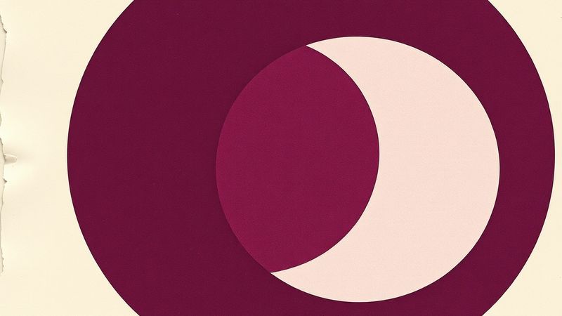 risograph misregistration of abstract geometric shapes suggesting listening—concentric circles and sharp angles overlapping in deep violet and charcoal illustration for The Flood Hears You First